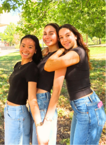 Protect Our Breasts Girls