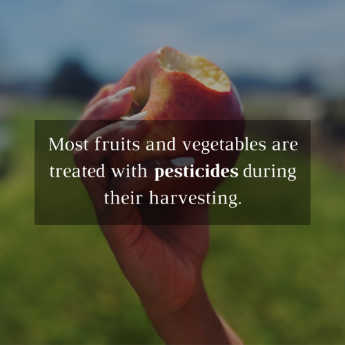 Pesticides on Apples